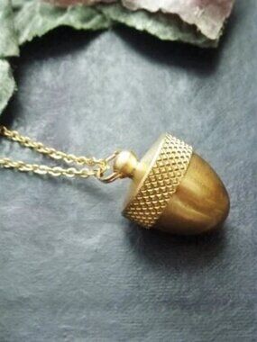 Locket Acorn Necklace - Secret Stash Capsule Pendant NWOT